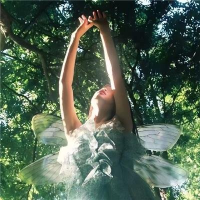 尼克·弗瑞：神盾局特工